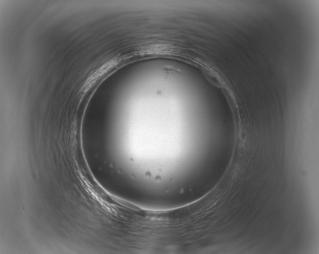 X0000086310437200703301155