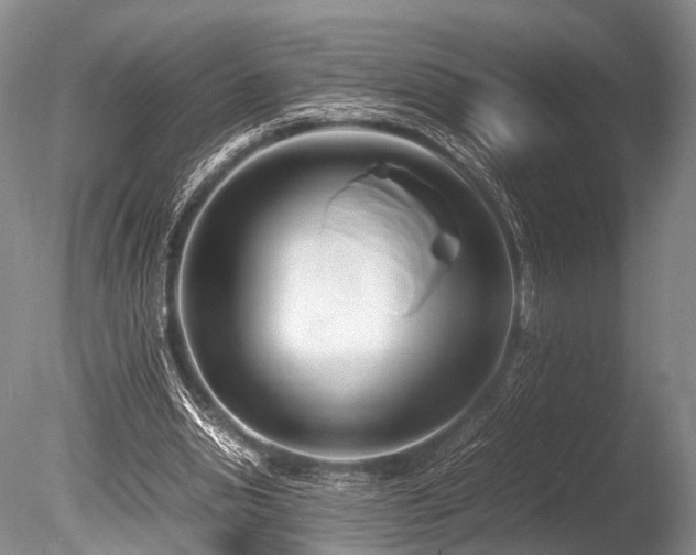 X0000086310438200703301155