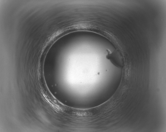 X0000086310439200703301155