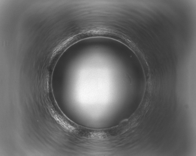 X0000086310446200703301155