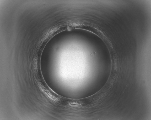 X0000086310447200703301155
