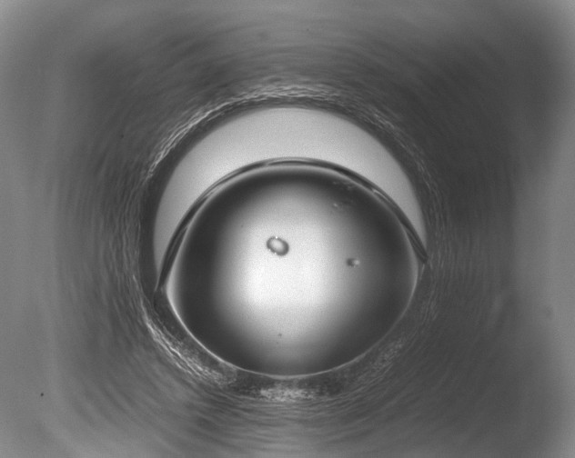 X0000086310448200703301155