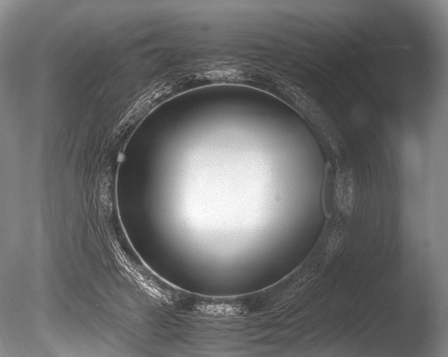 X0000086310449200703301155