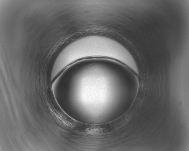 X0000086310452200703301155