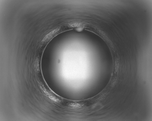 X0000086310453200703301155