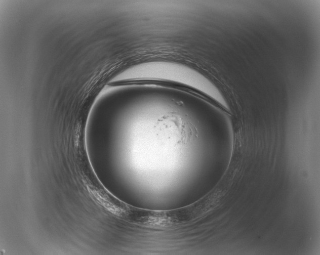 X0000086310458200703301155