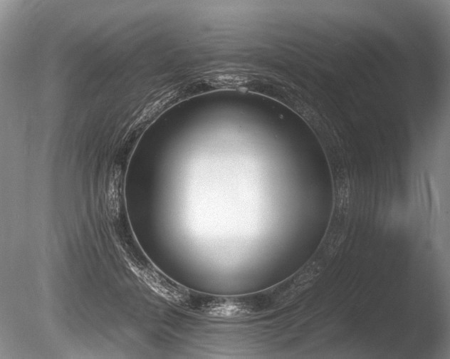 X0000086310460200703301155