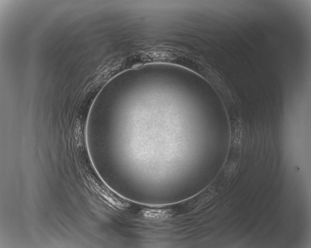 X0000086310465200703301155