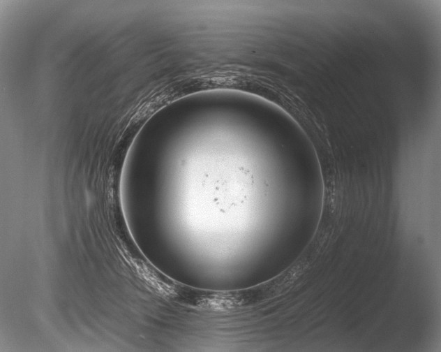 X0000086310466200703301155