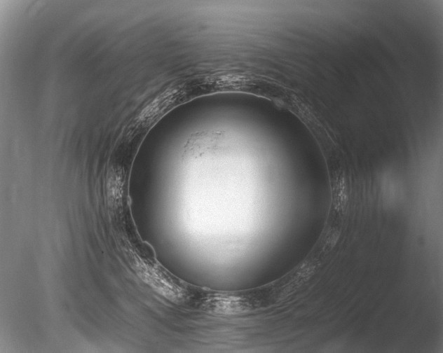 X0000086310472200703301155