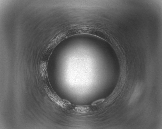 X0000086310480200703301155
