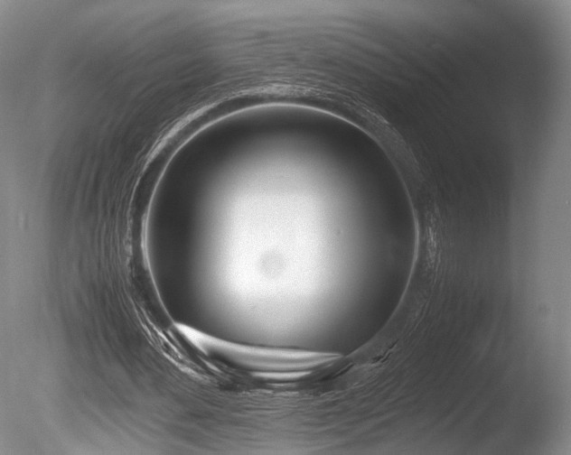 X0000086310484200703301155