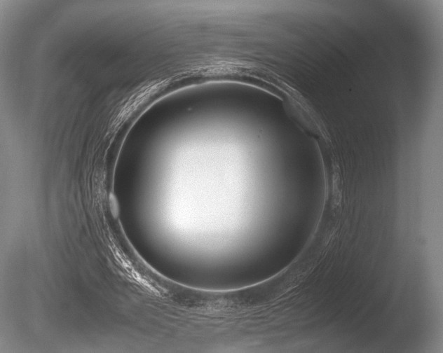 X0000086310485200703301155