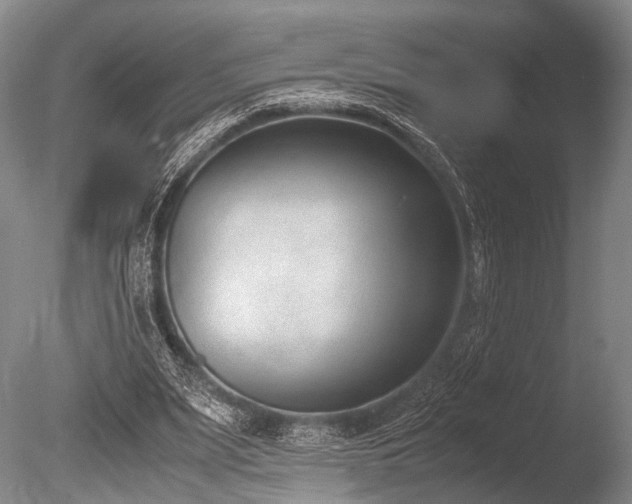 X0000086310487200703301155