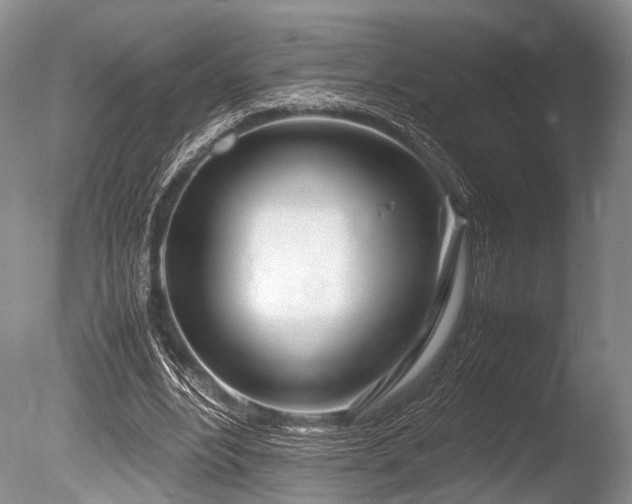 X0000086310488200703301155