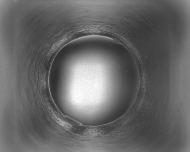 X0000086310489200703301155