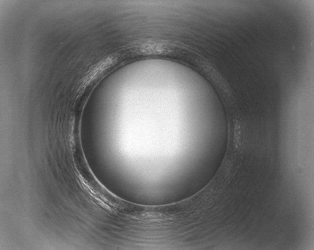 X0000086310490200703301154