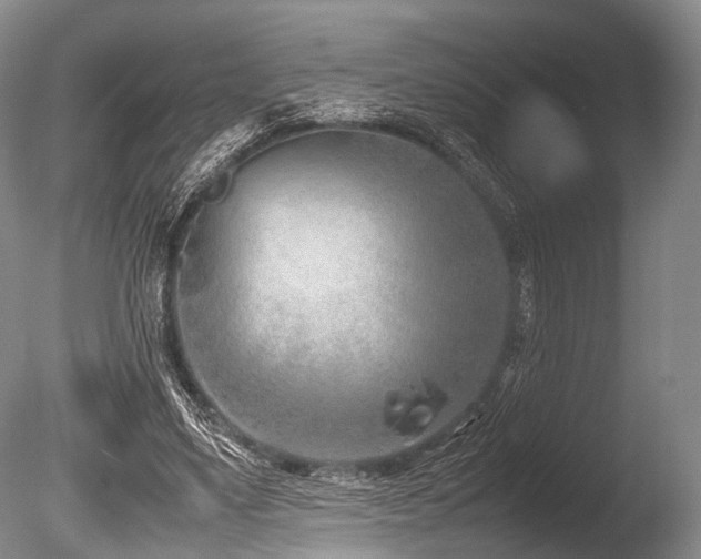 X0000086310491200703301154