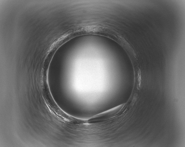 X0000086310492200703301154