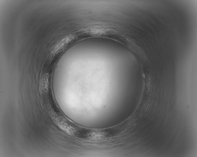 X0000086310495200703301154