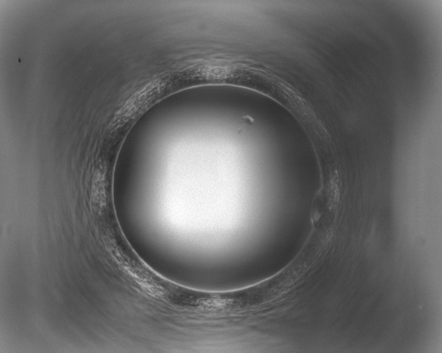 X0000086310497200703301154