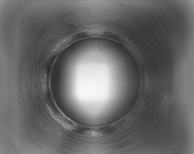 X0000086310498200703301154