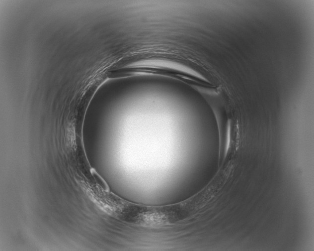 X0000086310500200703301154
