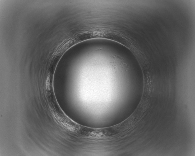 X0000086310502200703301154