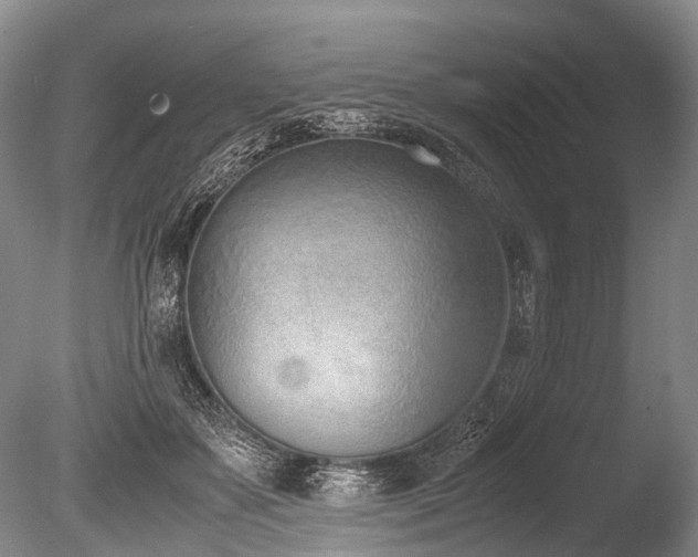 X0000086310507200703301154