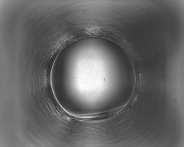 X0000086310508200703301154
