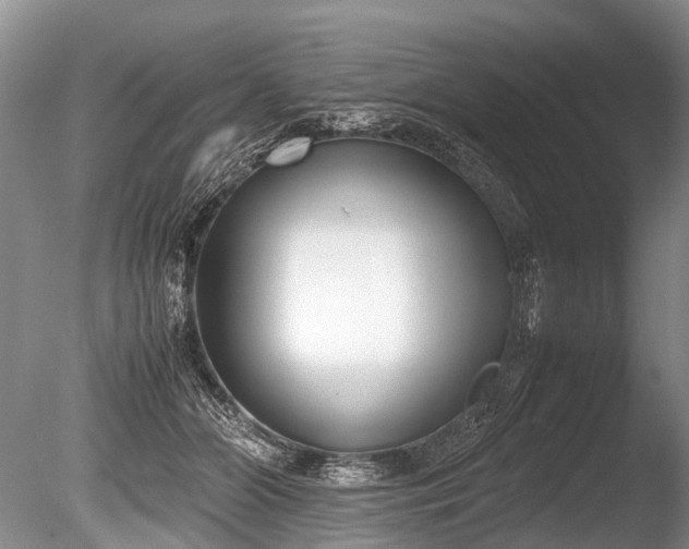 X0000086310510200703301154