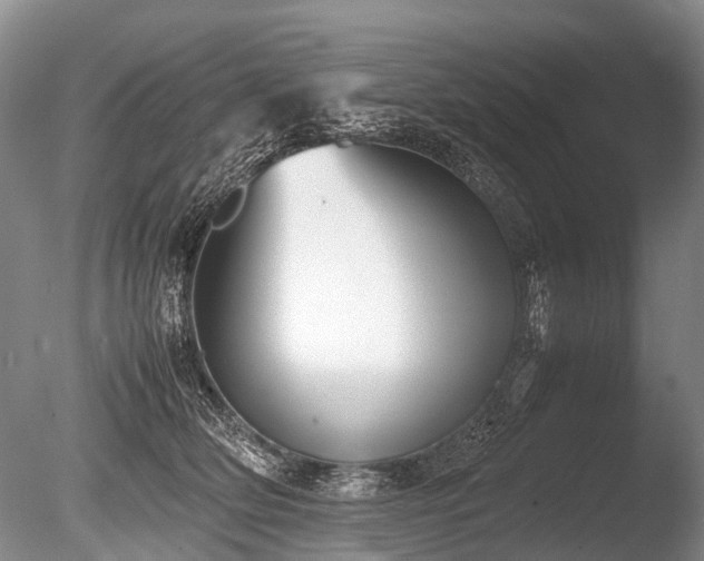 X0000086310514200703301154