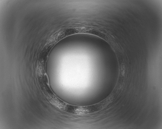 X0000086310515200703301154