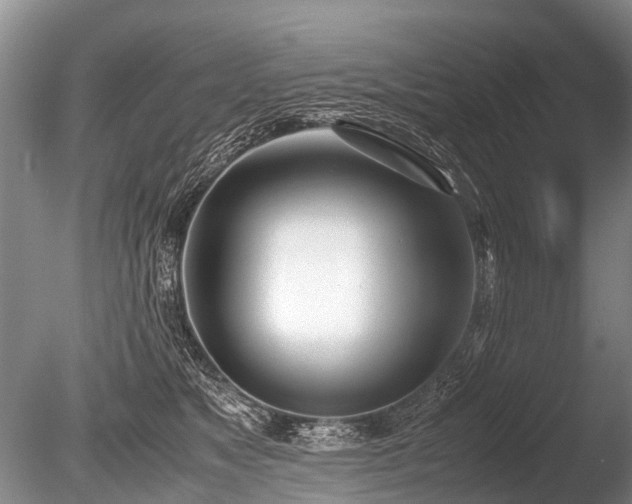 X0000086310517200703301154