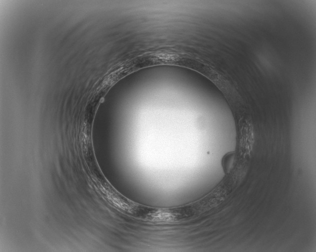 X0000086310518200703301154