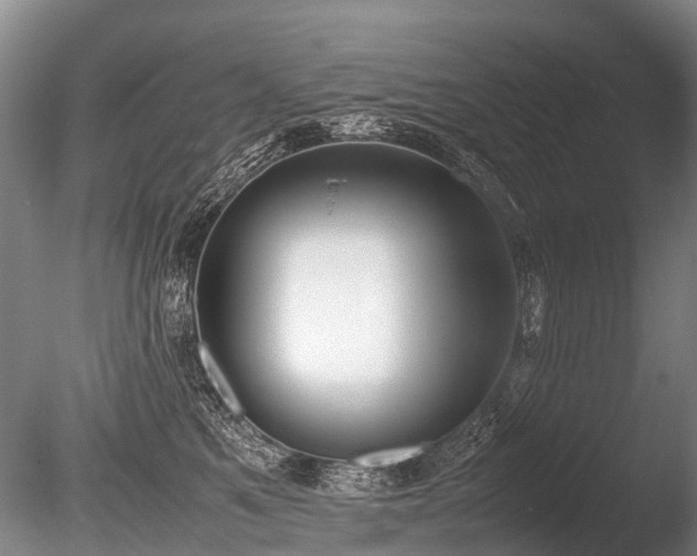 X0000086310521200703301154