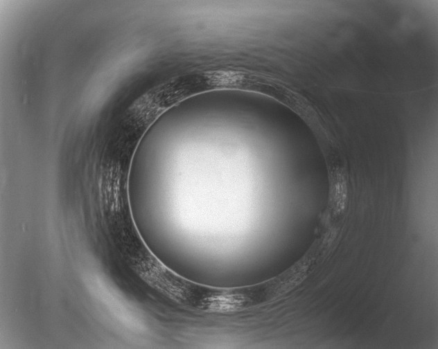 X0000086310525200703301154