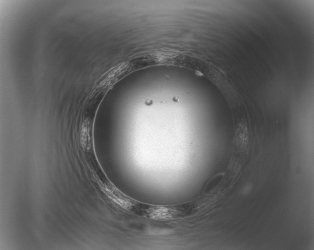 X0000086310527200703301154