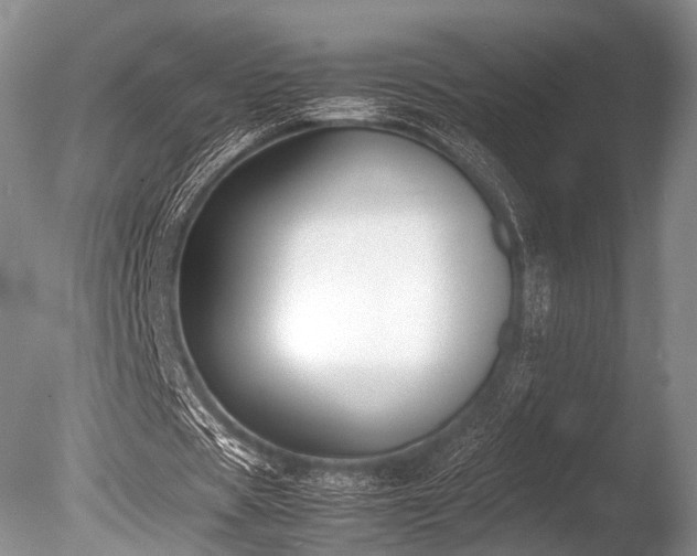 X0000086310529200703301153