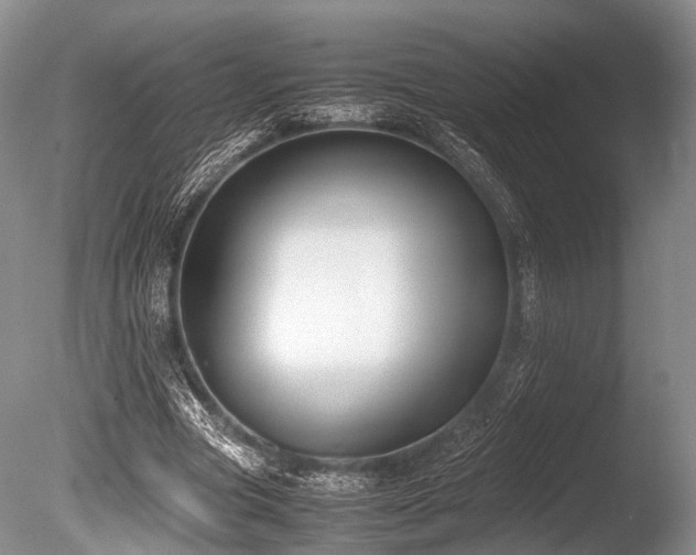 X0000086310537200703301153