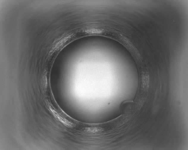 X0000086310541200703301153