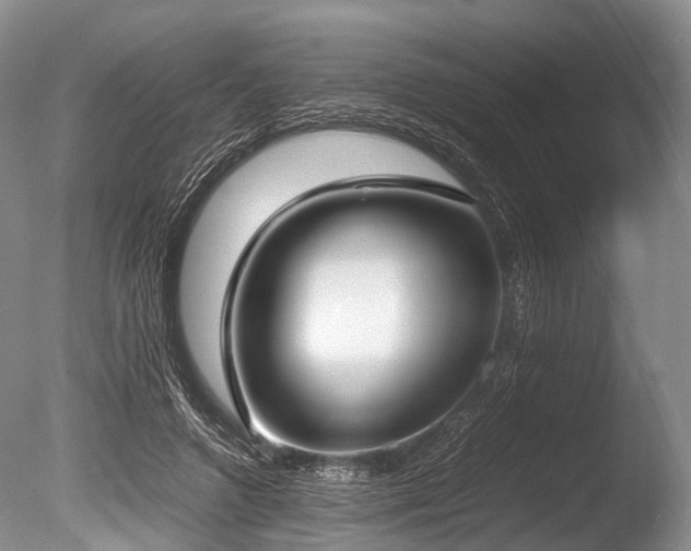 X0000086310546200703301153