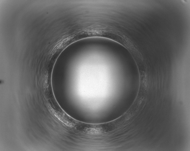 X0000086310548200703301153