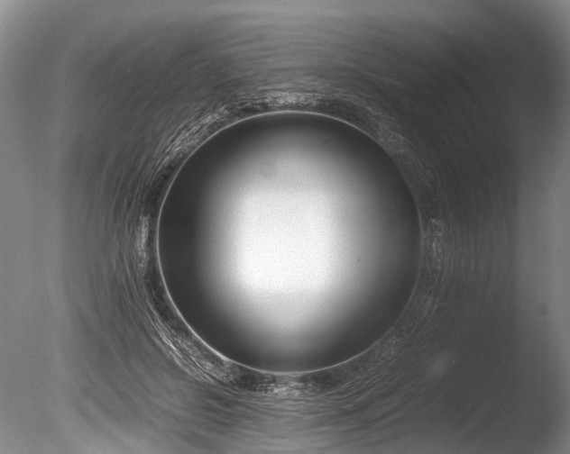 X0000086310550200703301153