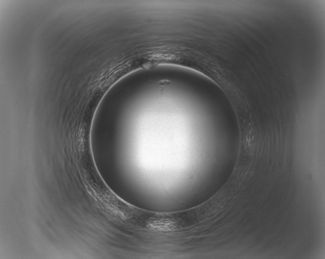 X0000086310551200703301153