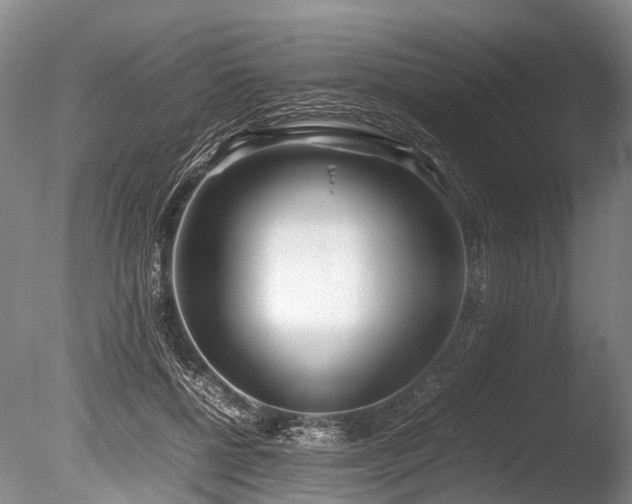 X0000086310552200703301153