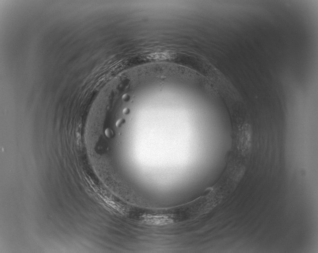 X0000086310553200703301153