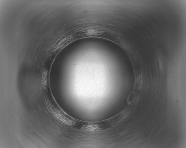 X0000086310554200703301153