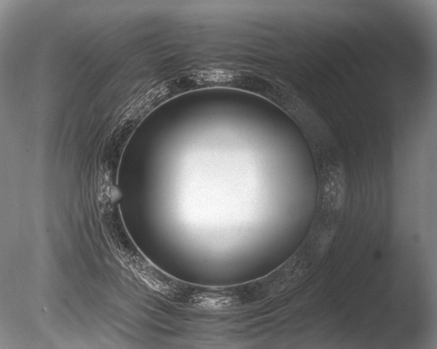 X0000086310555200703301153