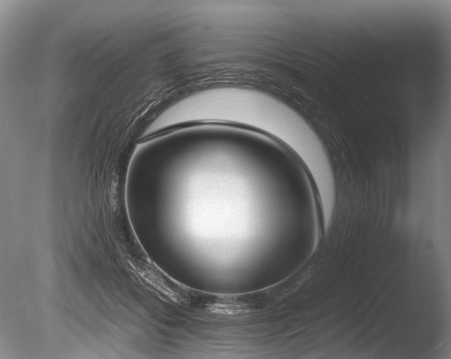 X0000086310556200703301153